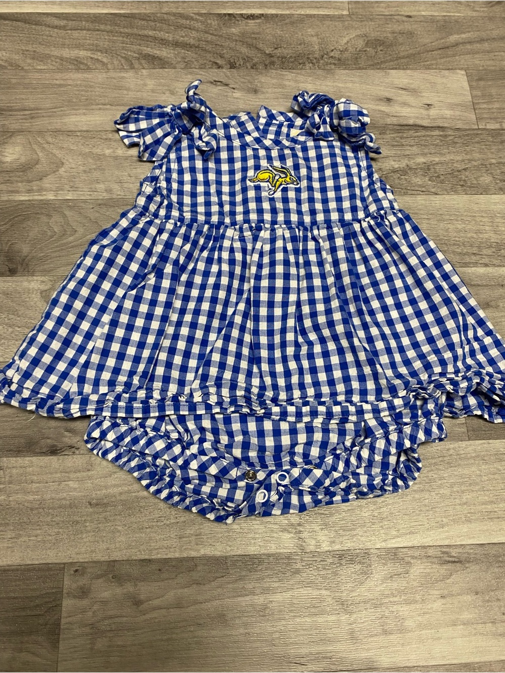 Blue & White Gingham Baby Dress with Bloomer